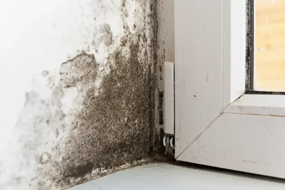 Gilbert's Trusted Emergency Water Mitigation Experts — Gilbert, AZ